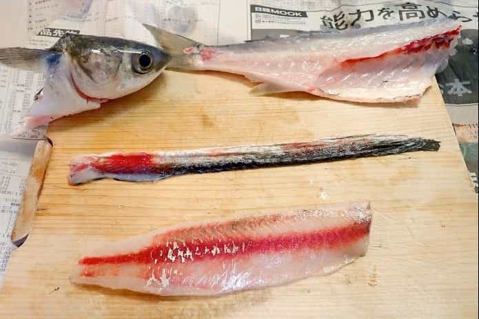 ボラの刺身
