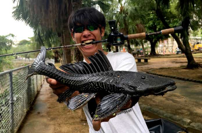 沖縄で釣った臭い魚