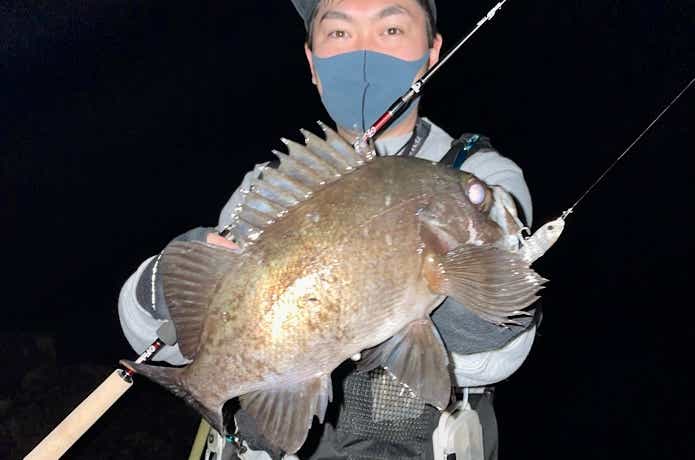 メバペンで釣れた尺メバル