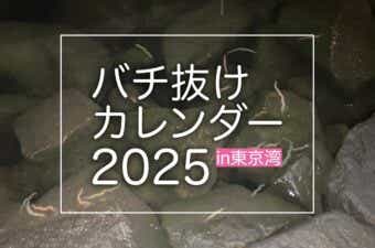 2025年東京湾バチ抜けカレンダー｜攻略のポイントも解説します！