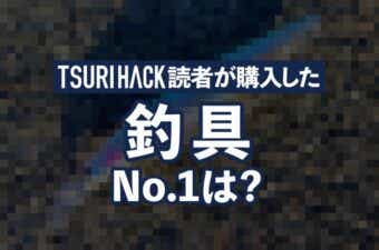 シーバスルアーがTOP3を独占！【2024年12月読者ランキング】