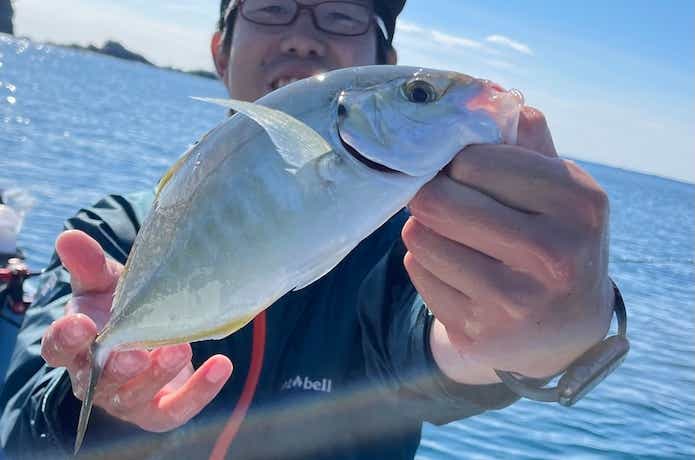 シマアジの釣果