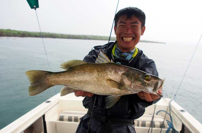 タンガニーカ湖で釣れたパーチ