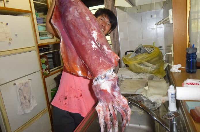 釣った日のタルイカは不味い