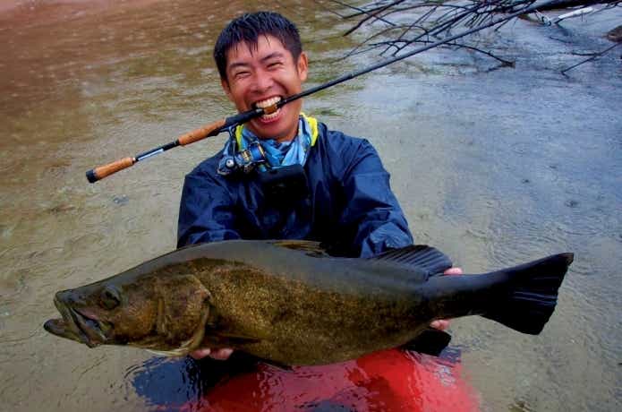 ビッグアイパーチと見間違える体形