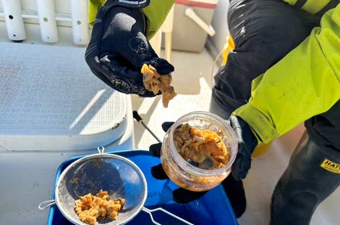 釣り用グローブの嫌なニオイ