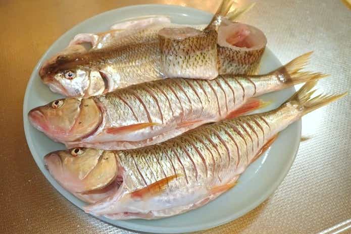 ハスの塩焼き