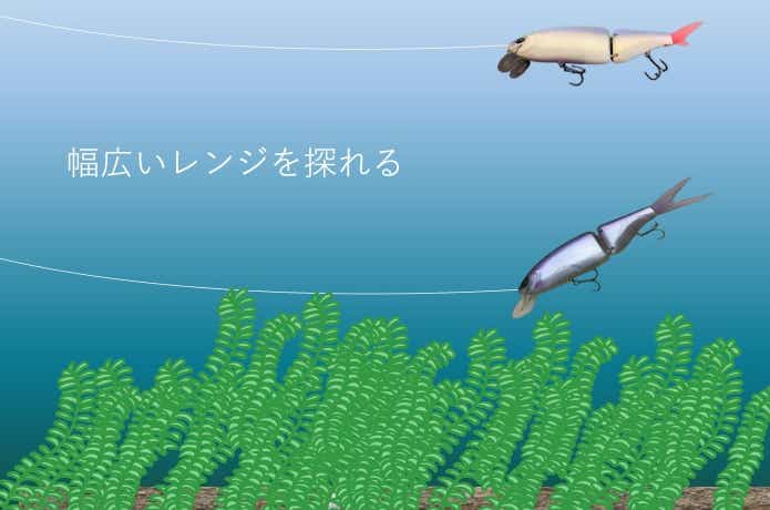 本当は教えたくないクラッシュ9の最強メソッド【プロガイド直伝