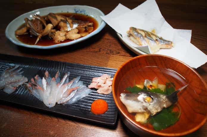ヌルヌル魚は美味しい魚が多い