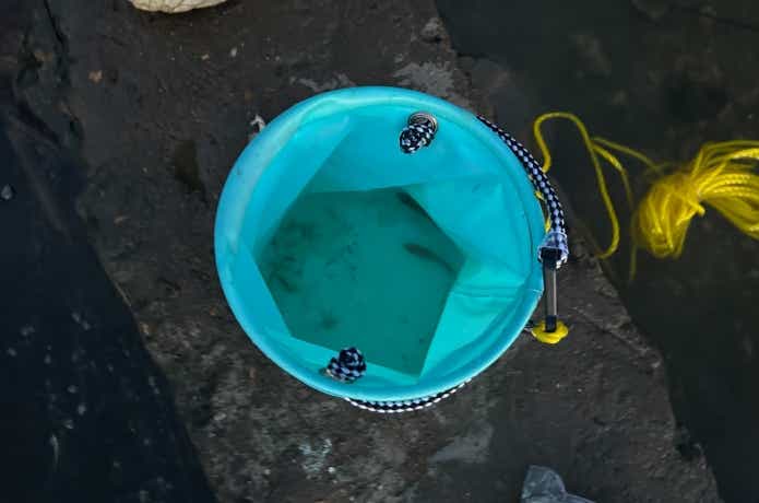 ハイギョ釣りの餌