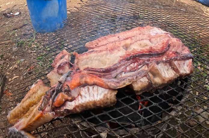 ハイギョの塩焼きと食味