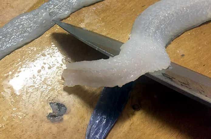 アナゴを捌く