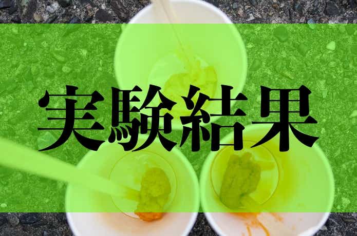 実験結果