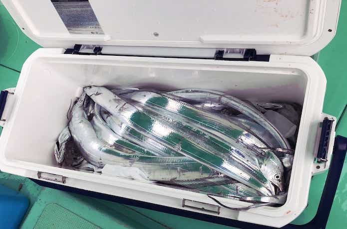 トランク型(横長)形状のクーラーボックス