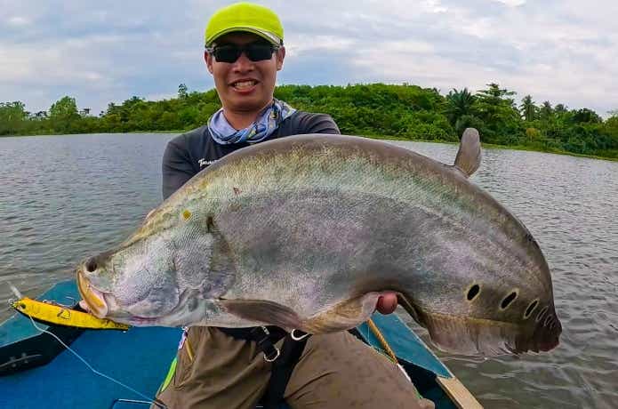 ルアーで釣れたナイフフィッシュ