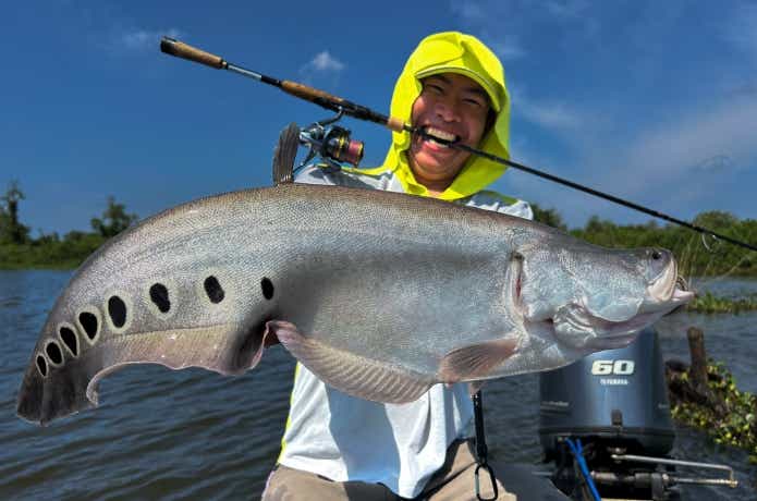 呼吸打ちで釣れたナイフフィッシュ