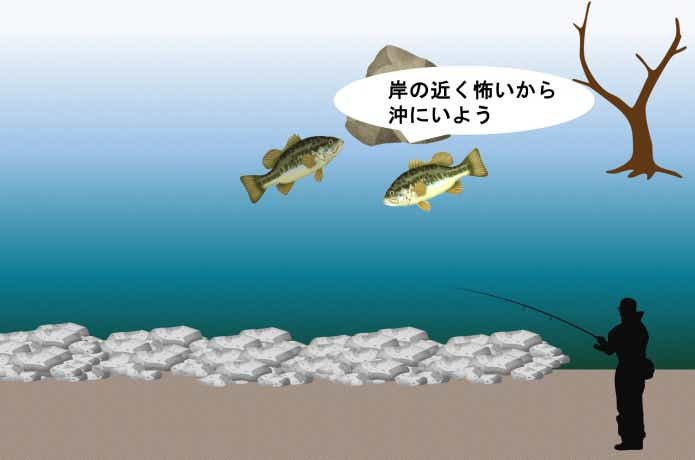 アングラーに怯えたバスたち