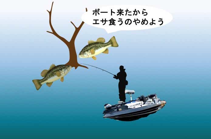ボートに怯えたバスたち