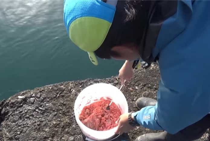 堤防釣りとコマセ