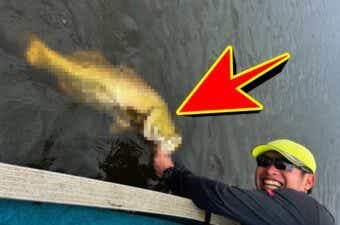 黄金の巨大魚が釣れる世界遺産だらけの島国に行ってきた。