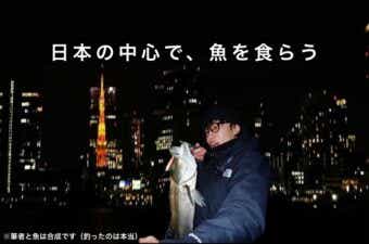 大都会で釣ったシーバス、ほんとに食べて大丈夫？