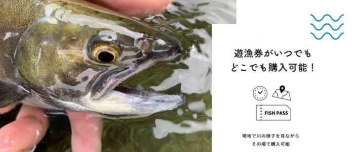 フィッシュパスはいつでも遊漁券が購入できる