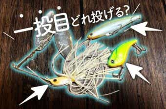プロガイドが信頼する最強サーチベイト。“外せない3要素”とは？