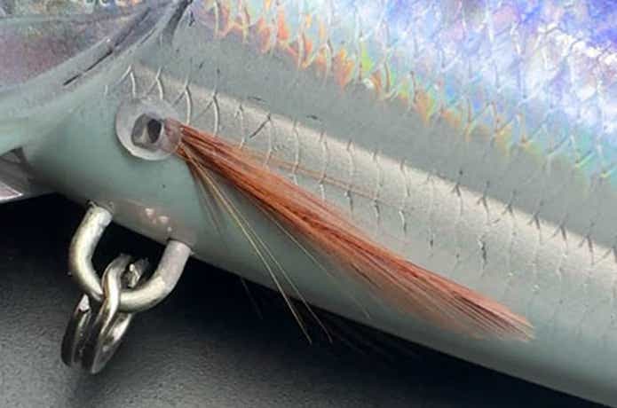 まるでイワシ！デカ青物狙いにハマりそうなリアルポッパー爆誕