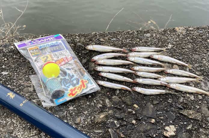 琵琶湖の小鮎釣り