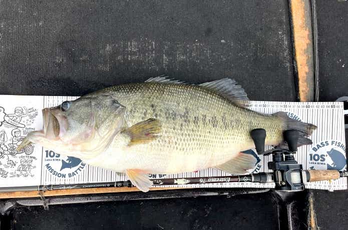 ノーシンカーで釣れたバス