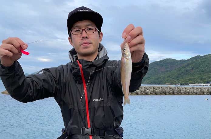 ちょい投げ釣りでキスの釣果