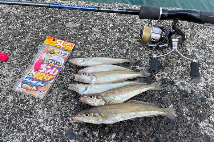 ちょい投げ釣りの釣果