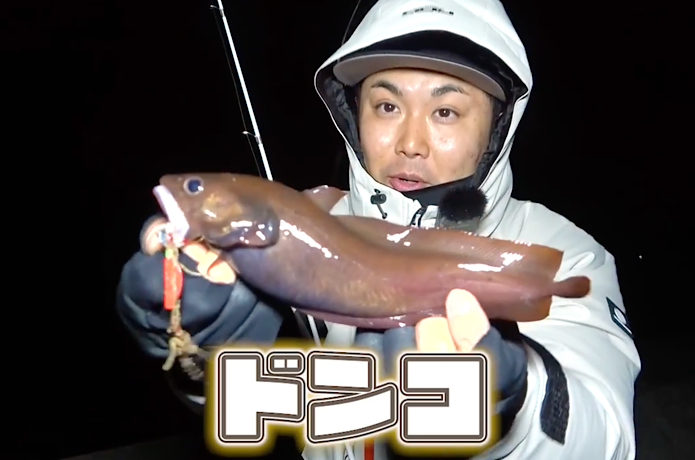 ドンコ