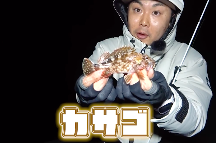 カサゴ