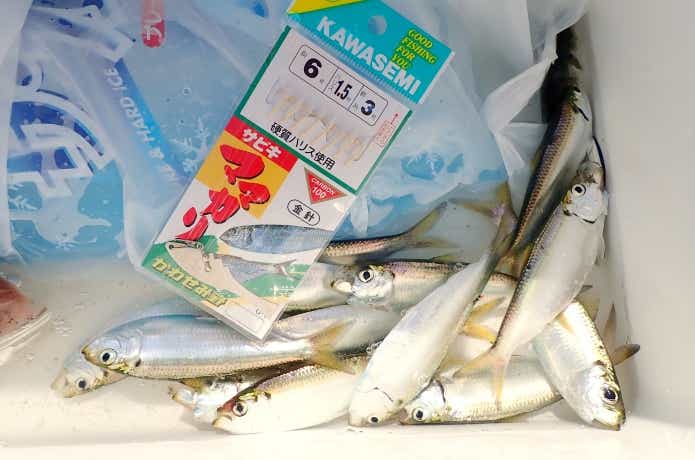 魚皮を使ったサビキ仕掛