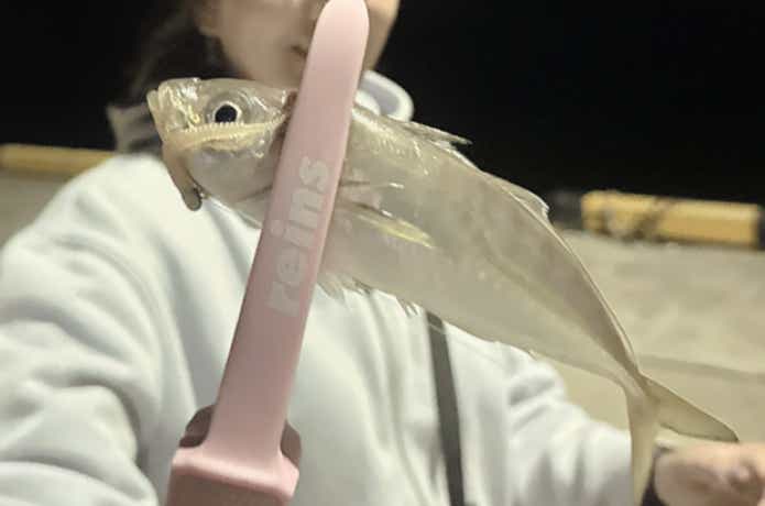 アジ