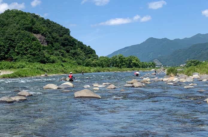 鮎の友釣り