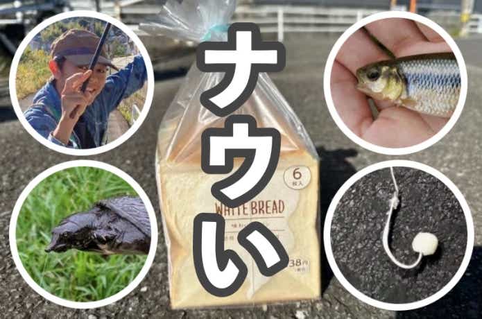 一周回って“ナウい”釣り！〜令和に釣りを初めし者に捧ぐ〜