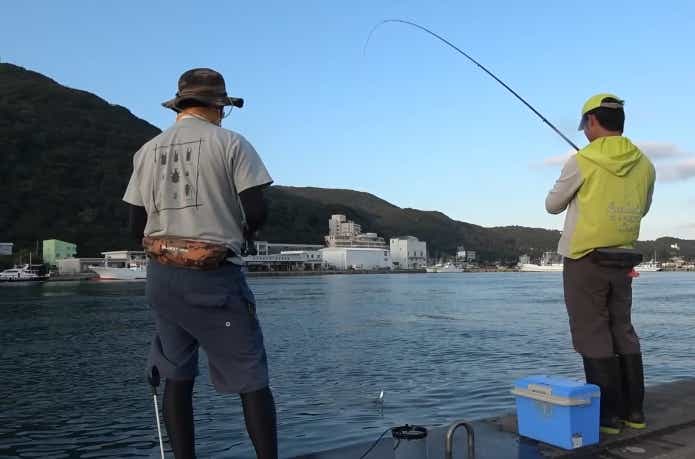 サビキ釣りの取り込み方