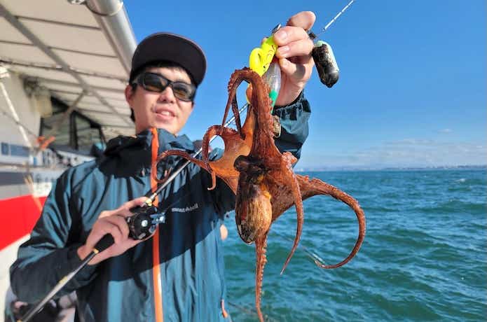 タコの釣果