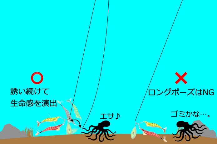 船タコの誘い