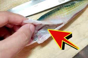 【禁断の生食？】一度食べたら戻れない釣魚3選、教えます。