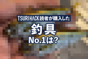 魚も人も釣れる“リアルすぎるアレ”が1位！【読者ランキング】