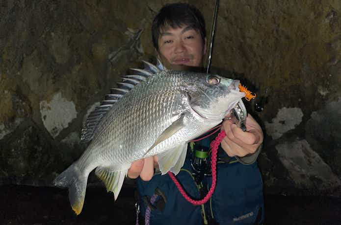 チヌ釣るやつでの釣果