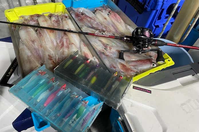 イカメタルの釣果