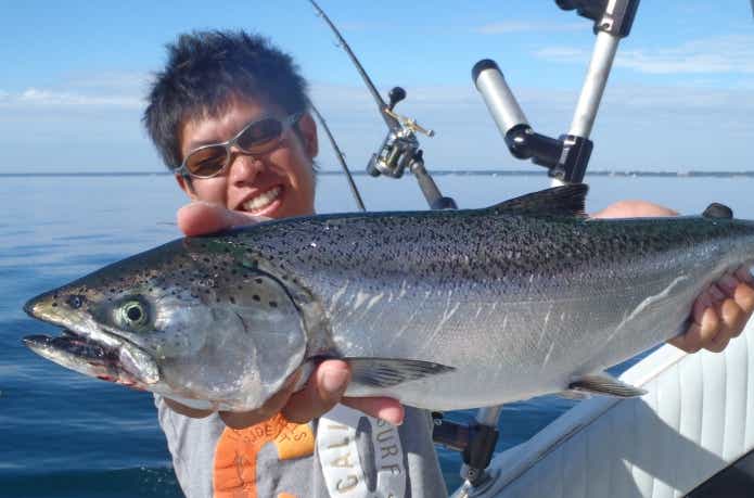 五大湖で釣り上げたキングサーモン