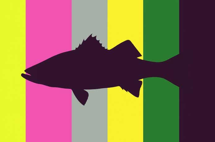 釣りの良くある質問】現役船長の“答えにならない答え”が、妙に