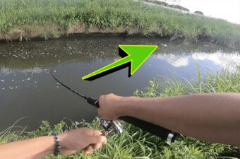 【まず釣れる】それはドッキドキの伝道師……それとも“小さな巨人”かな？