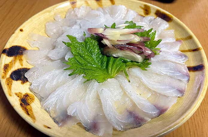 マゴチの刺身