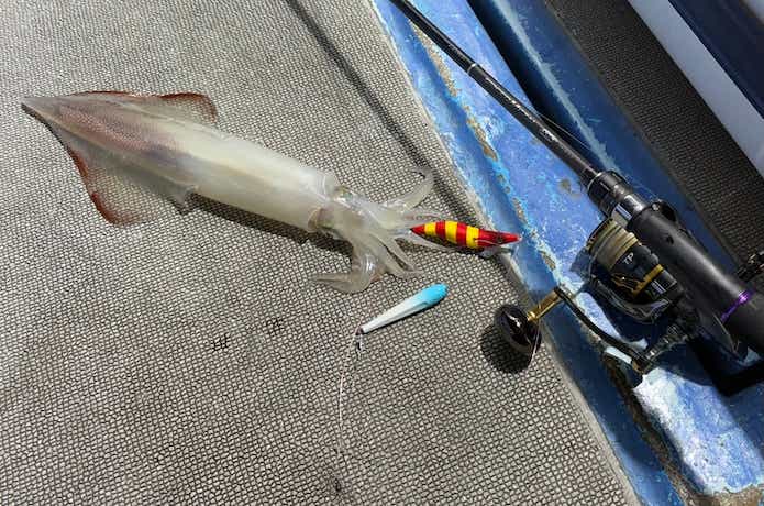 スピードメタルエギドロッパーでオモリグ
